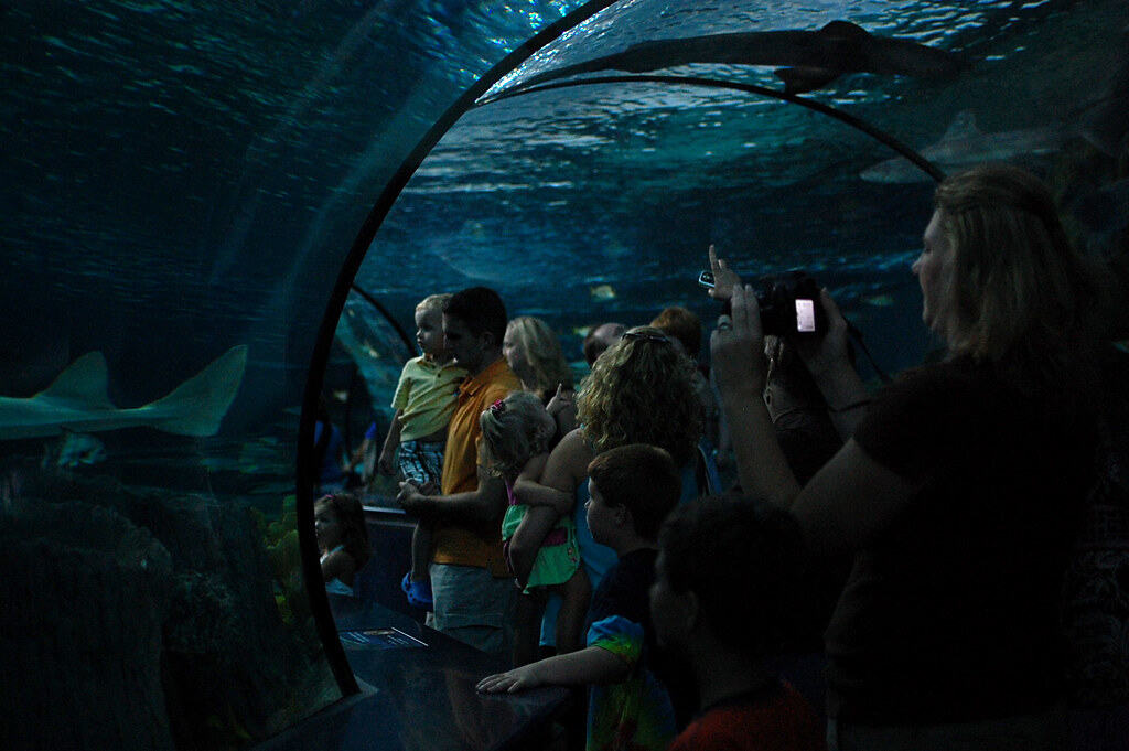 Ripley's Aquarium of Myrtle Beach (Myrtle Beach), South Carolina