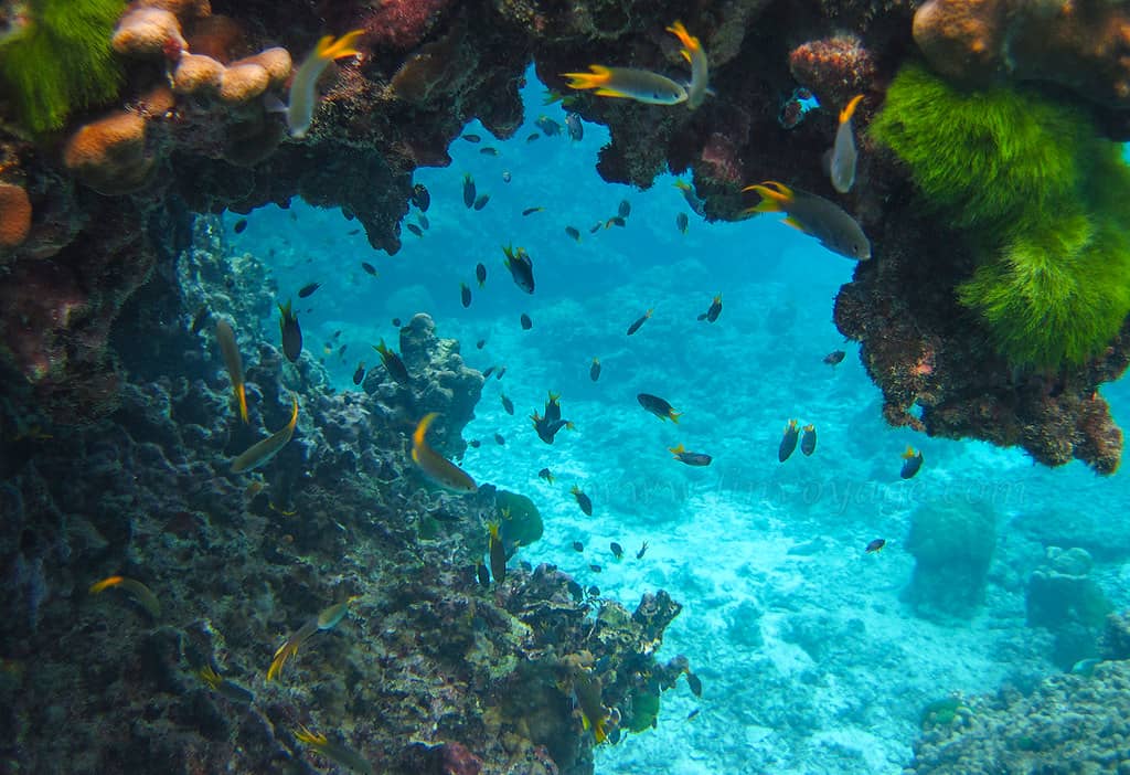 Underwater World Pattaya, Pattaya, Thailand