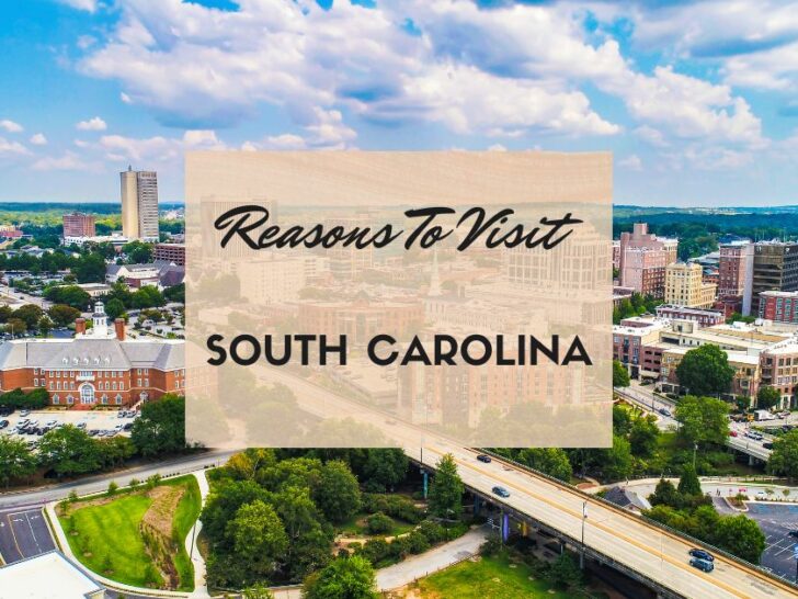 Reasons to visit South Carolina at least once in your lifetime