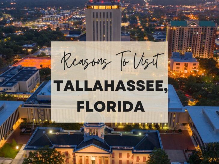 Reasons to visit Tallahassee, Florida at least once in your lifetime