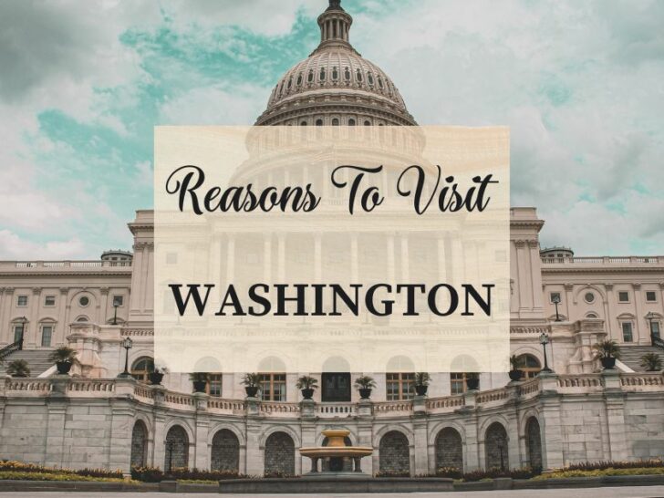 Reasons to visit Washington at least once in your lifetime