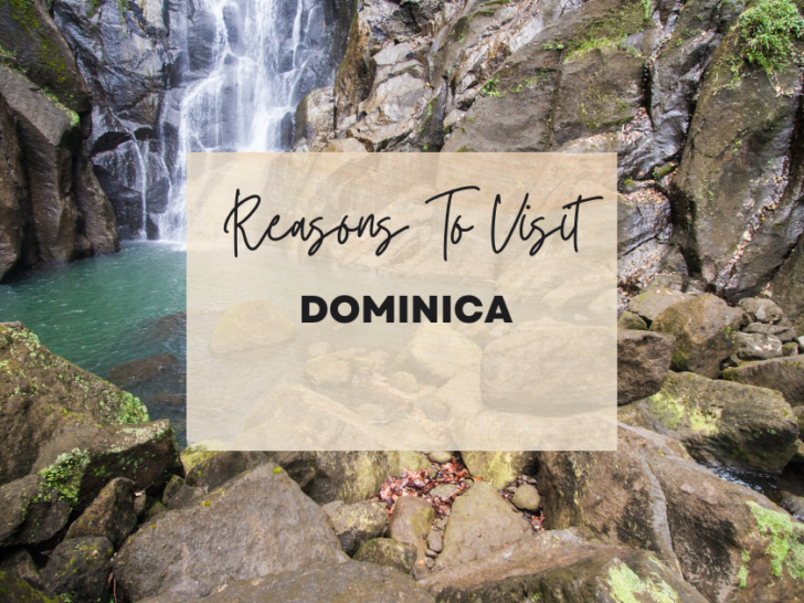 Reasons to visit Dominica at least once in your lifetime