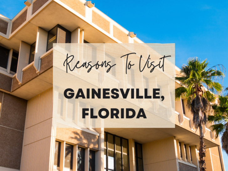 Reasons to visit Gainesville, Florida at least once in your lifetime