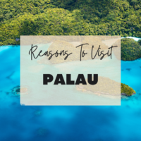 Reasons To Visit Palau