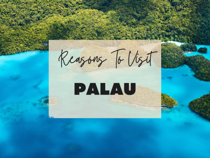 Reasons to visit Palau at least once in your lifetime