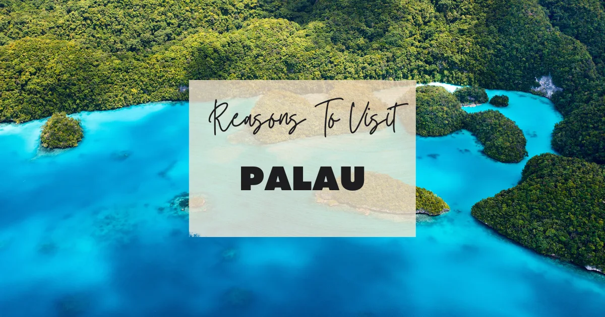 Reasons To Visit Palau