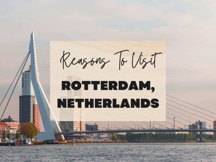 Reasons to visit Rotterdam, Netherlands at least once in your lifetime