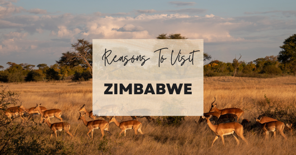 Reasons To Visit Zimbabwe