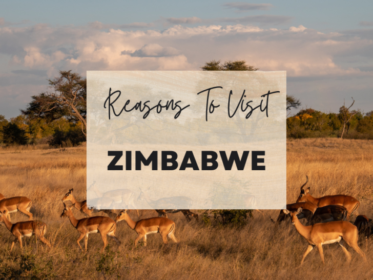 Reasons to visit Zimbabwe at least once in your lifetime
