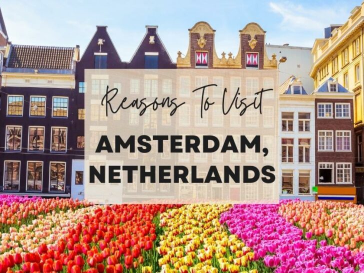 Reasons to visit Amsterdam, Netherlands at least once in your lifetime
