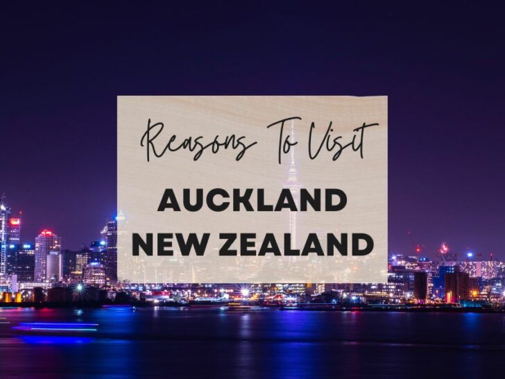 Reasons to visit Auckland, New Zealand at least once in your lifetime