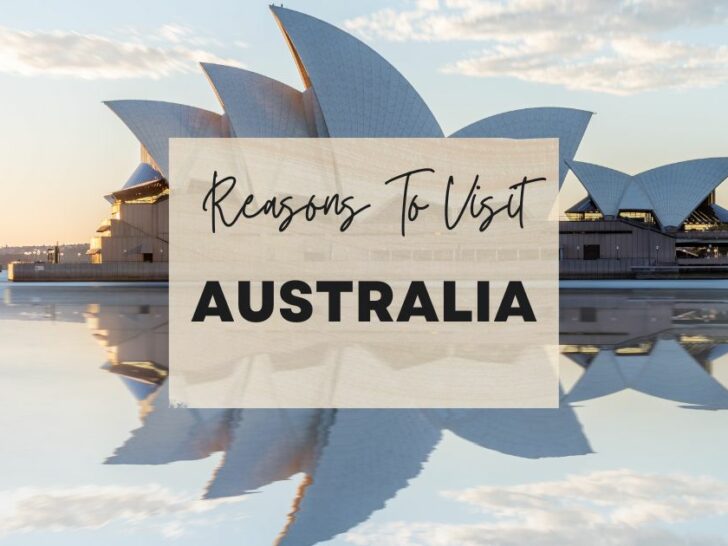Reasons to visit Australia at least once in your lifetime