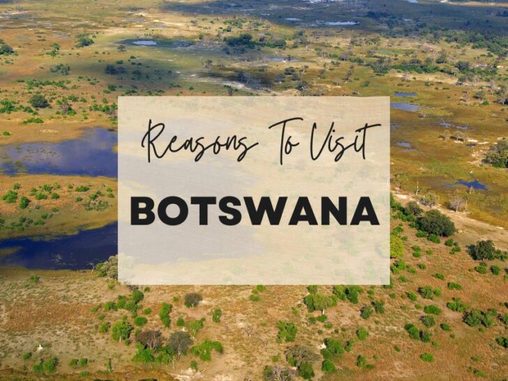 Reasons to visit Botswana at least once in your lifetime