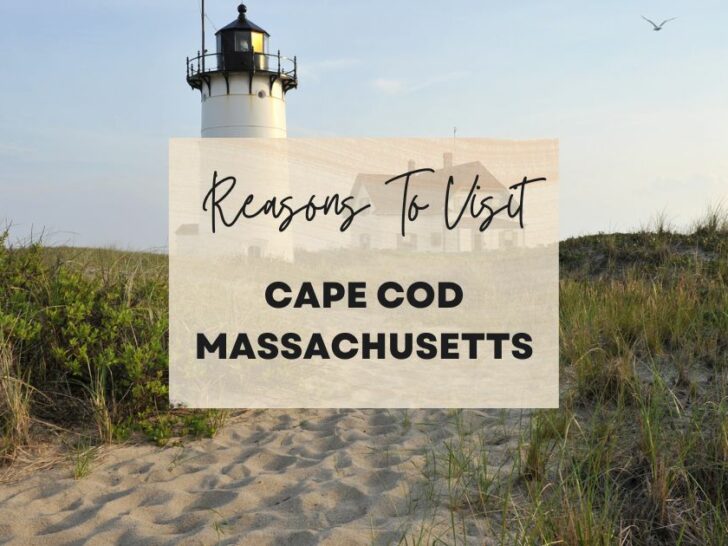 Reasons to visit Cape Cod, Massachusetts at least once in your lifetime