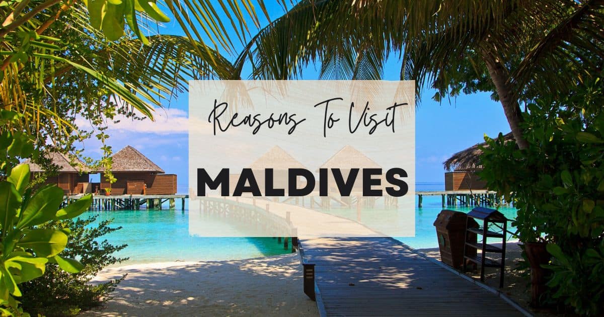 Reasons to visit Maldives