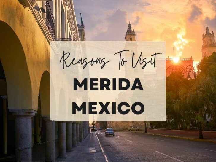 Reasons to visit Merida, Mexico at least once in your lifetime