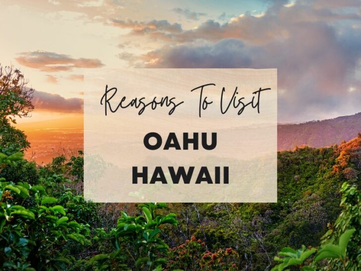 Reasons to visit Oahu, Hawaii at least once in your lifetime