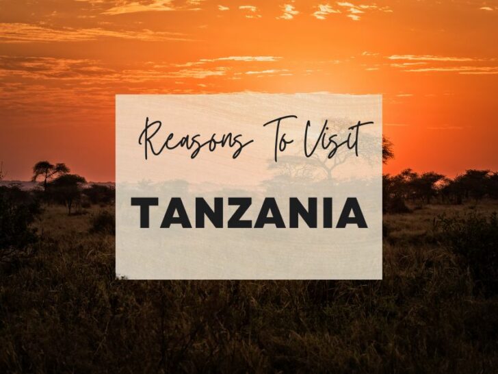 Reasons to visit Tanzania at least once in your lifetime