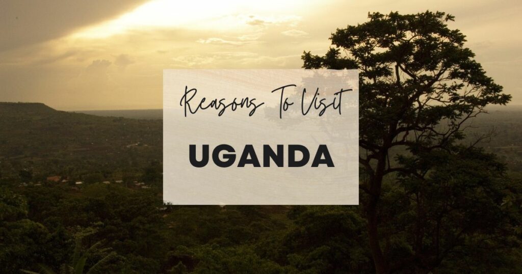 Reasons to visit Uganda