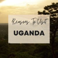 Reasons to visit Uganda