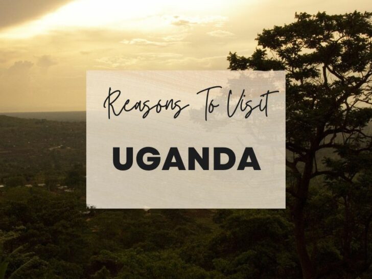 Reasons to visit Uganda at least once in your lifetime
