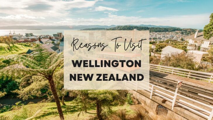 Reasons to visit Wellington, New Zealand at least once in your lifetime