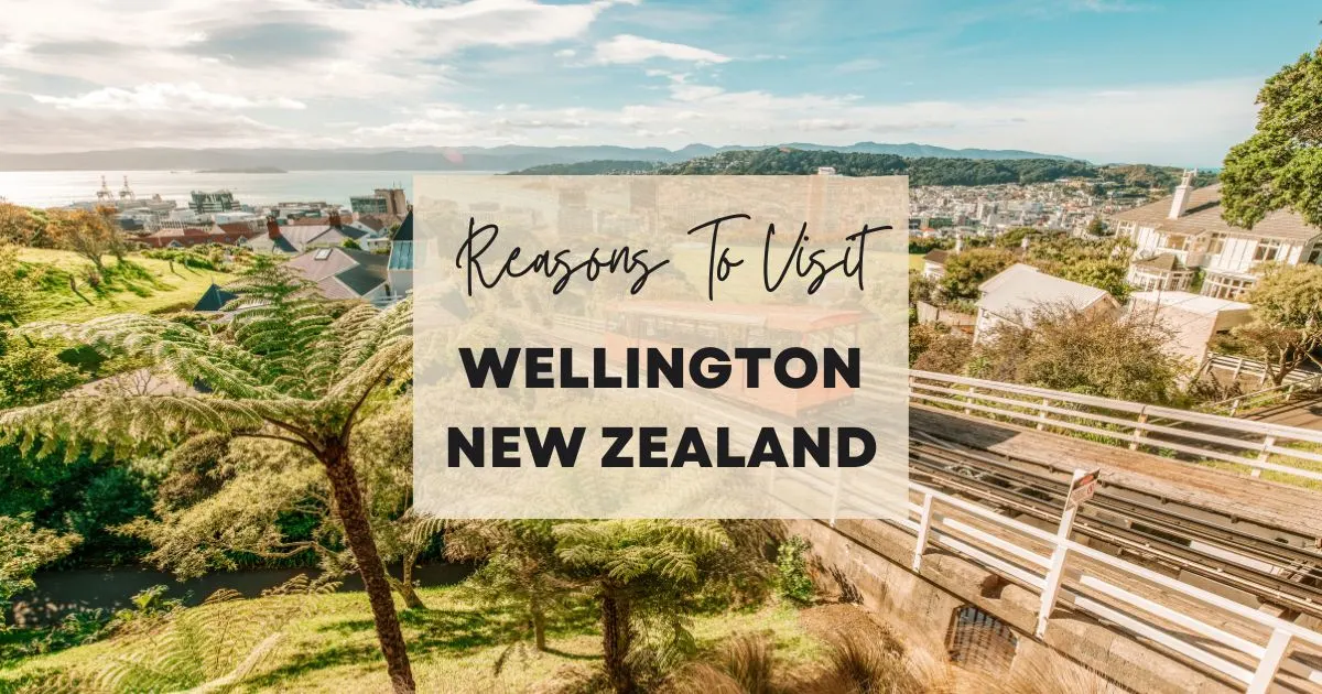 Reasons to visit Wellington New Zealand