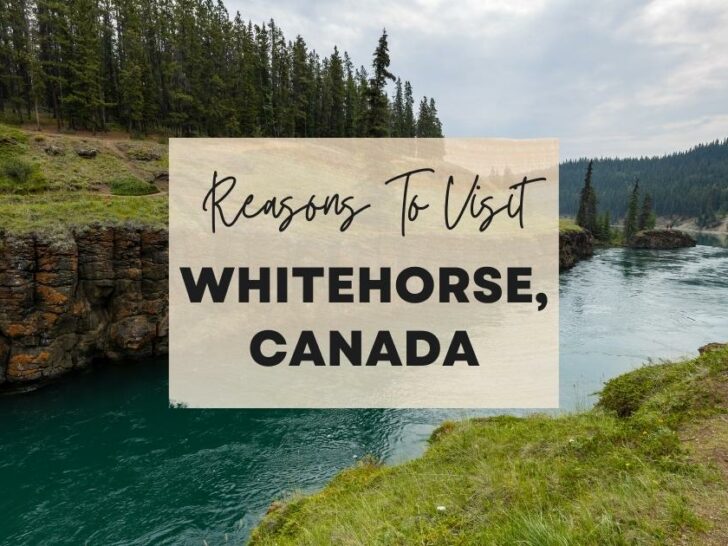 Reasons to visit Whitehorse, Canada at least once in your lifetime