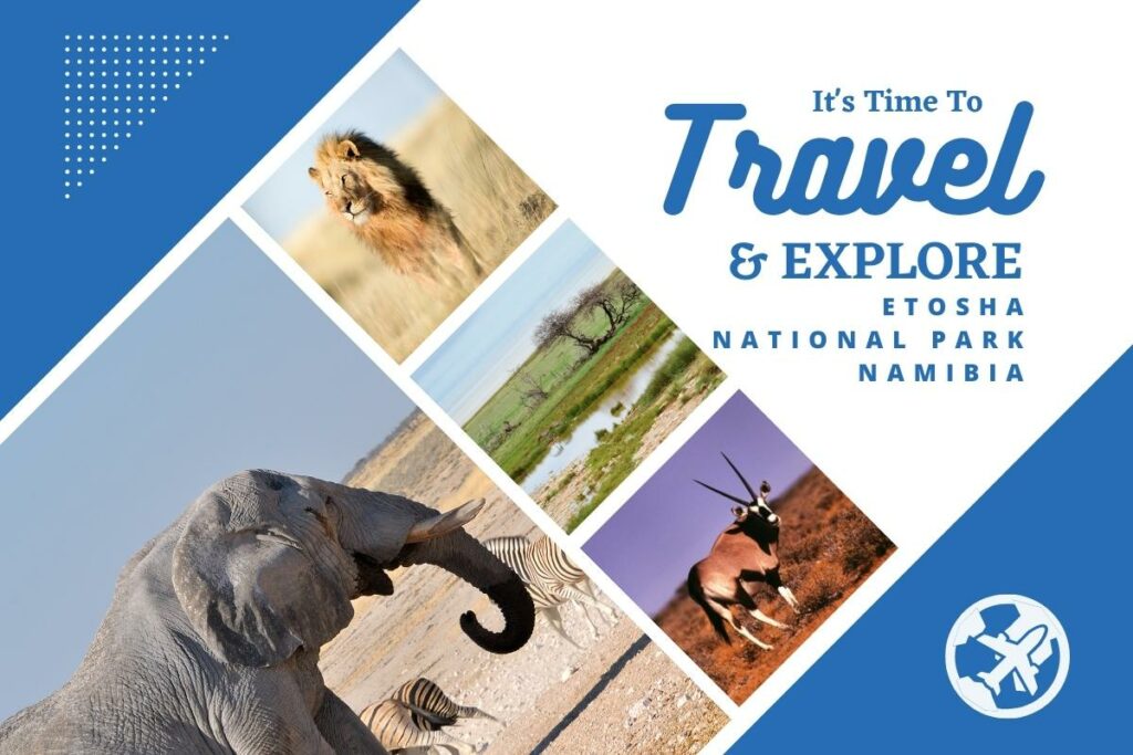 Why visit Etosha National Park, Namibia