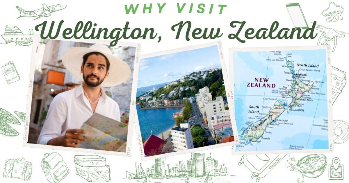 Why visit Wellington New Zealand