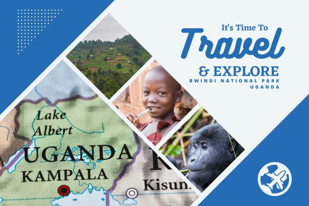 Why visit Bwindi National Park, Uganda