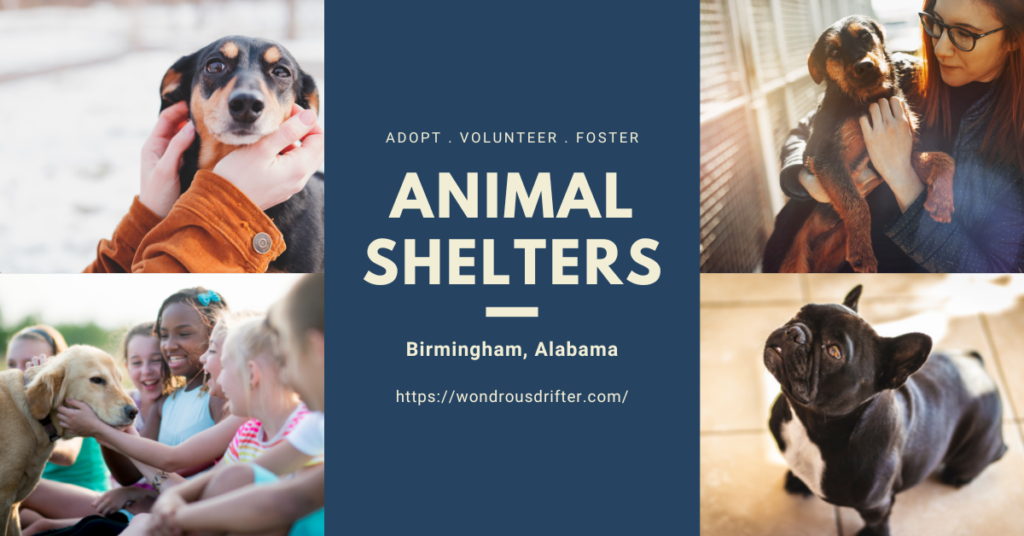 Animal Shelters In Birmingham, Alabama