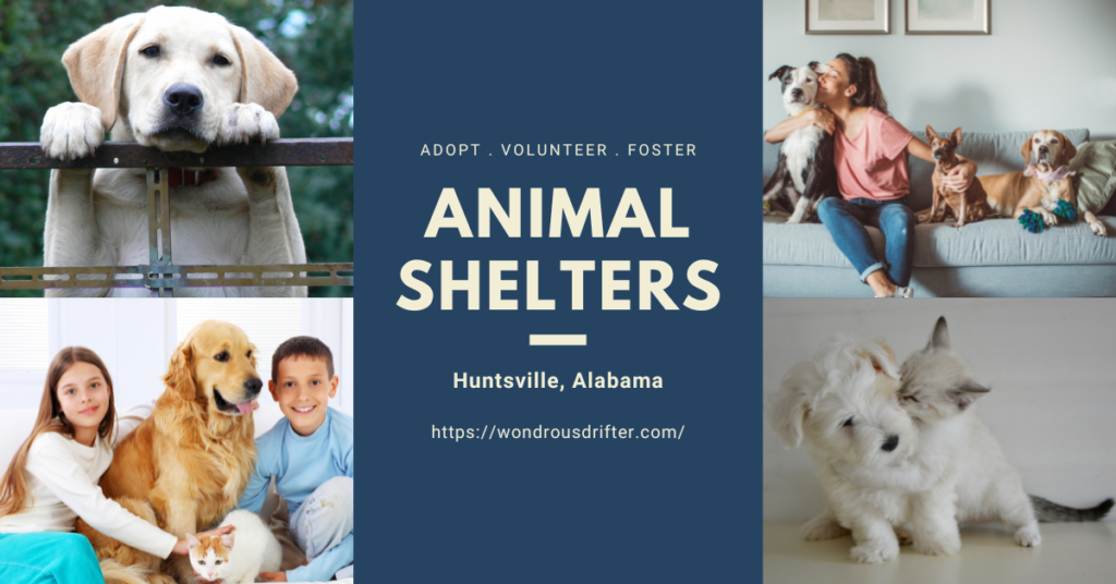 Animal Shelters In Huntsville, Alabama