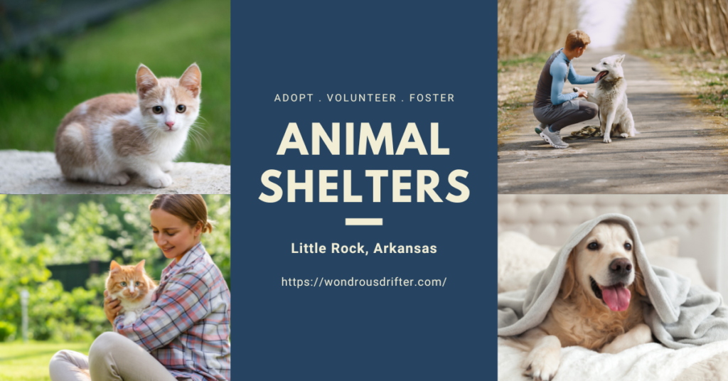 Animal Shelters In Little Rock, Arkansas