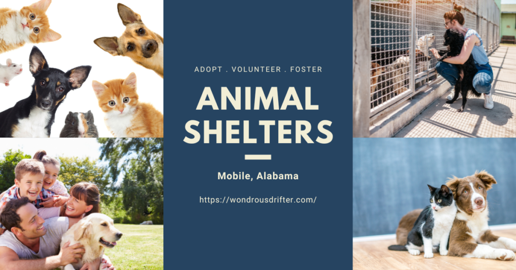 Animal Shelters In Mobile, Alabama