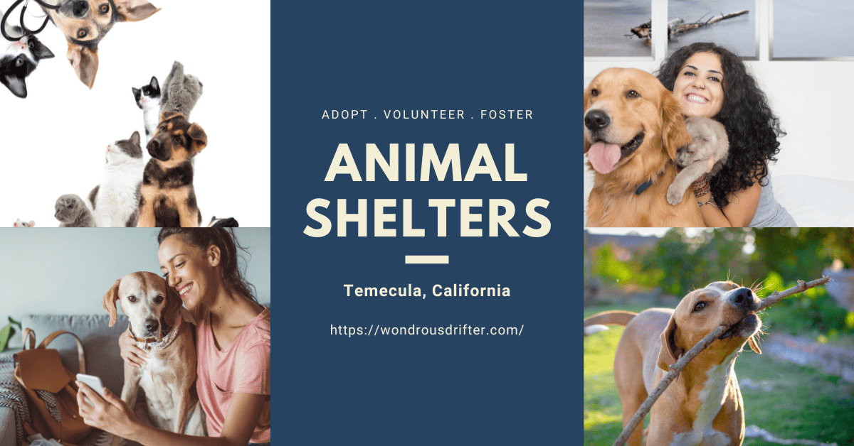 Animal Shelters In Temecula, California