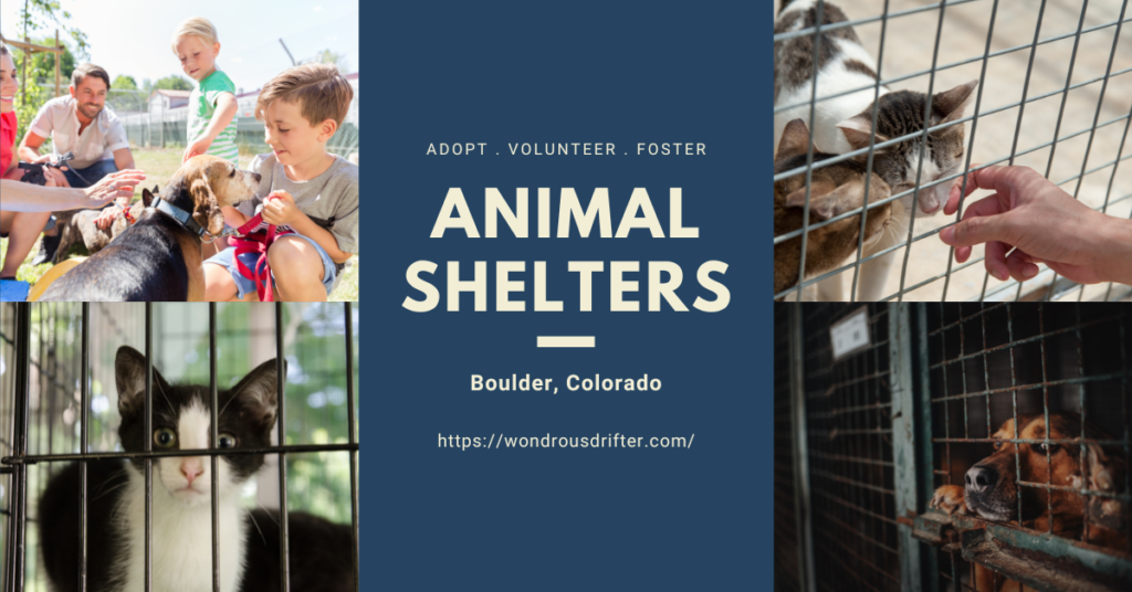 Animal Shelters in Boulder, Colorado