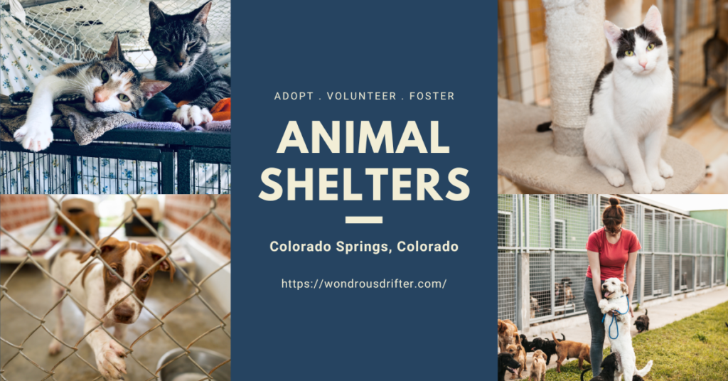 Animal Shelters in Colorado Springs, Colorado