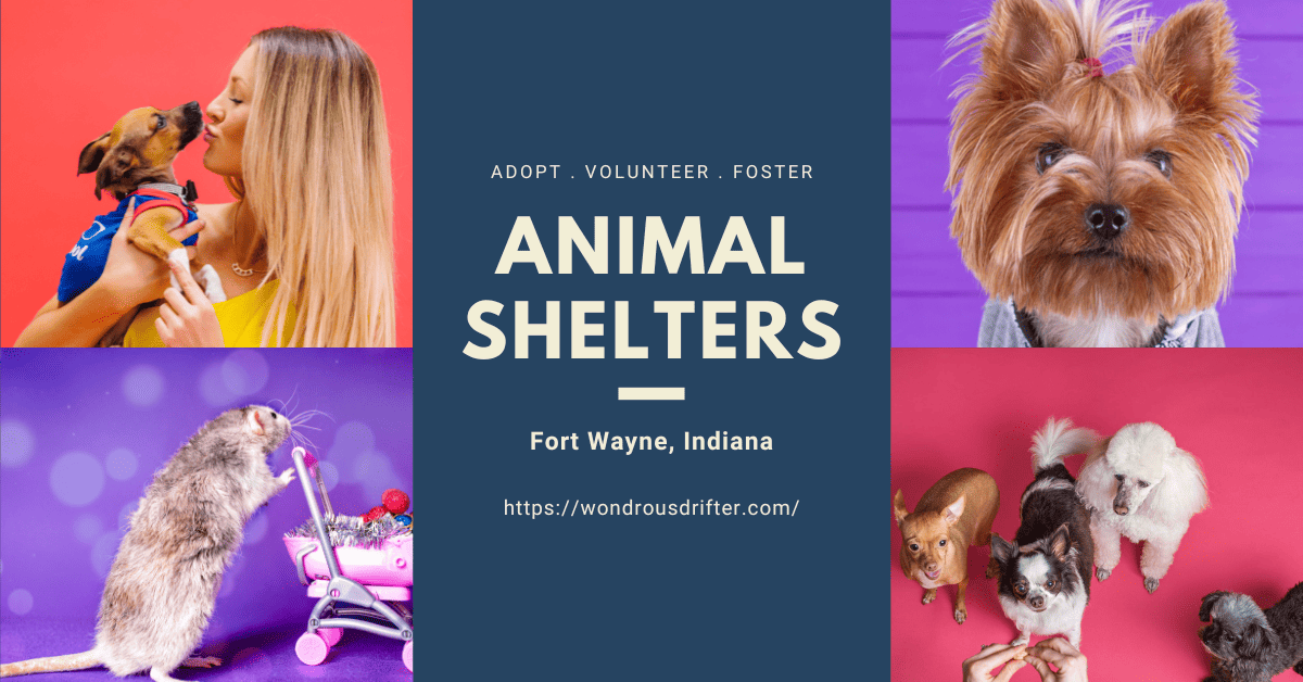 Animal Shelters in Fort Wayne, Indiana