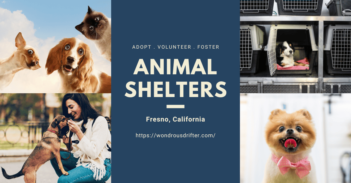 Animal Shelters in Fresno, California
