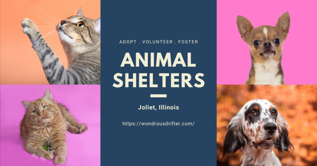 Animal Shelters in Joliet, Illinois