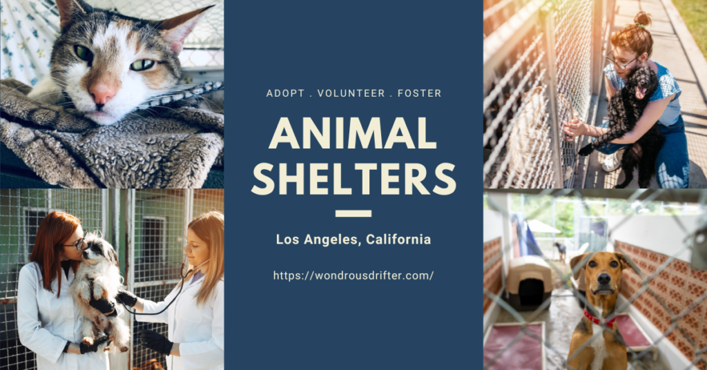 Animal Shelters in Los Angeles, California
