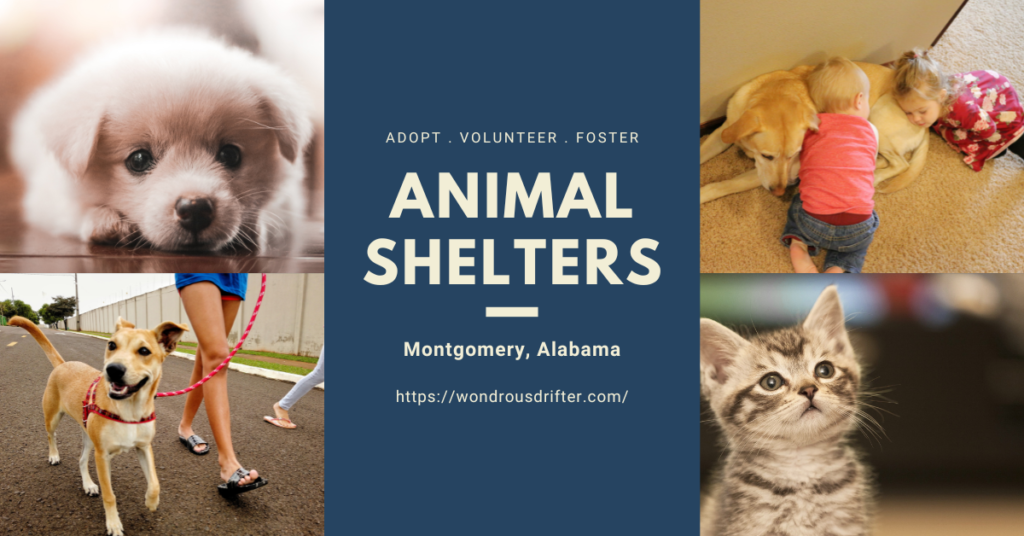 Animal Shelters in Montgomery, Alabama