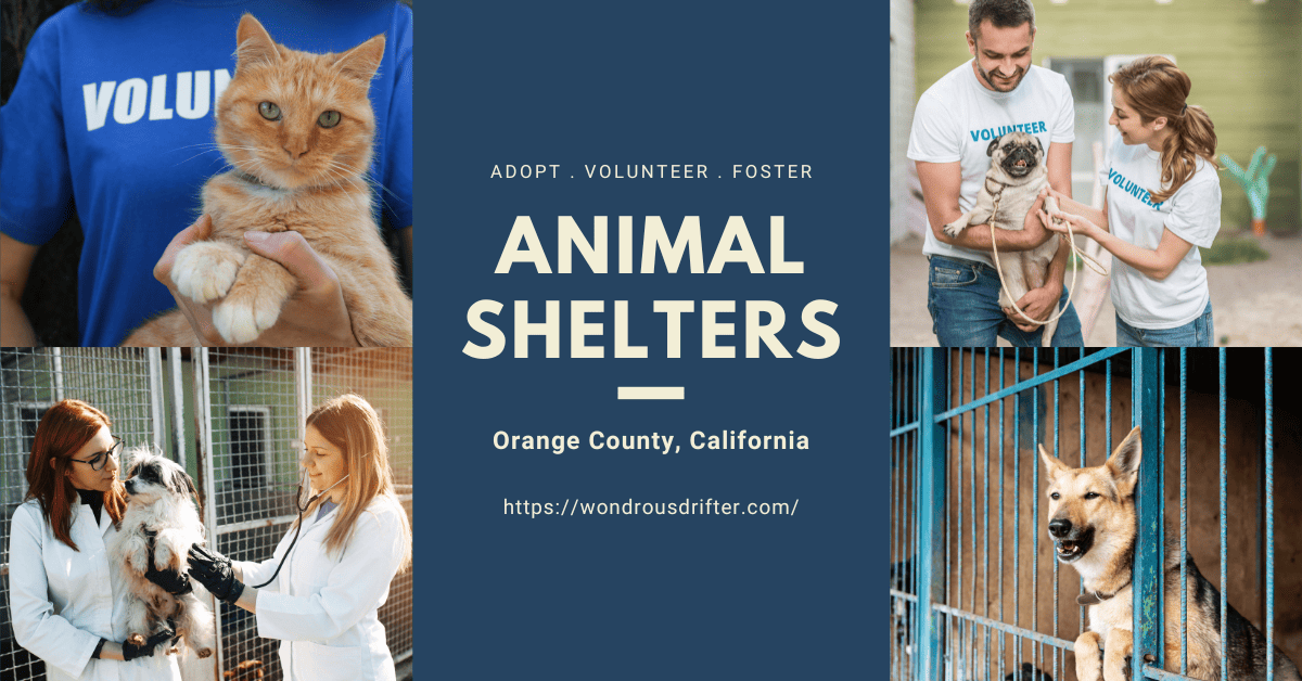Animal Shelters in Orange County, California