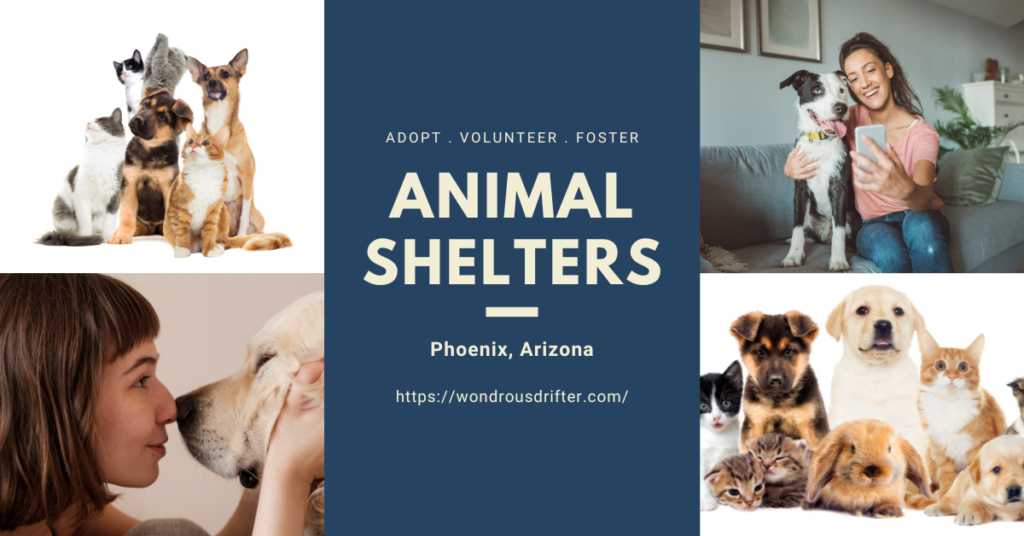 Animal Shelters in Phoenix, Arizona
