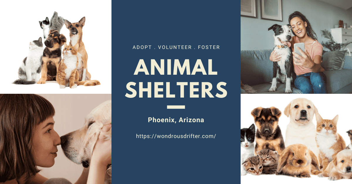 Animal Shelters in Phoenix, Arizona