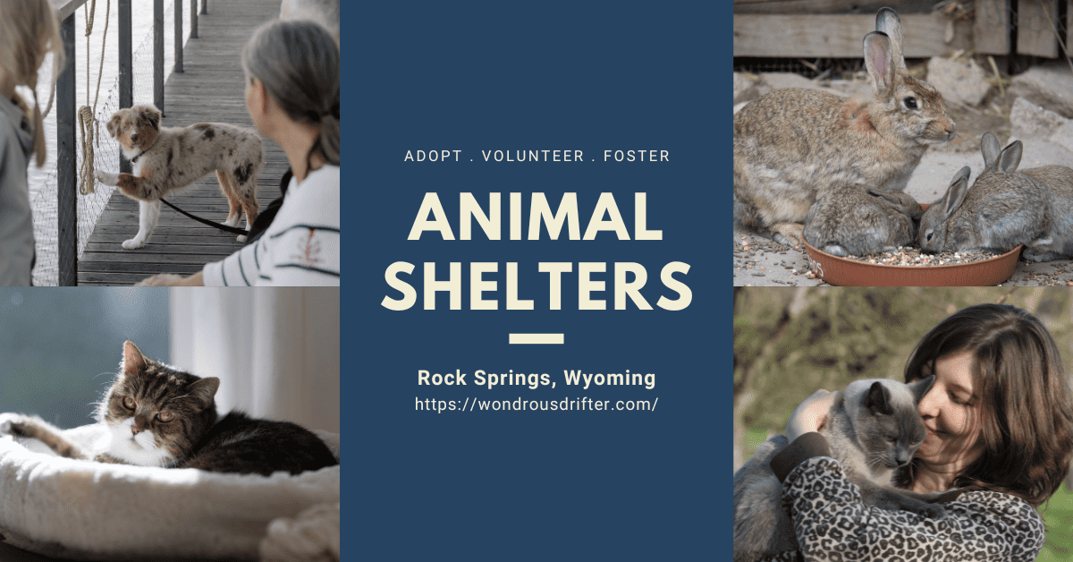 Animal Shelters in Rock Springs, Wyoming