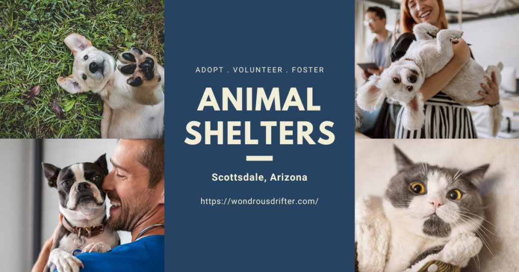 Animal Shelters in Scottsdale, Arizona