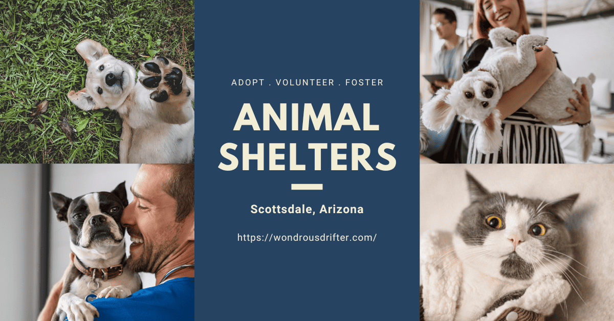 Animal Shelters in Scottsdale, Arizona
