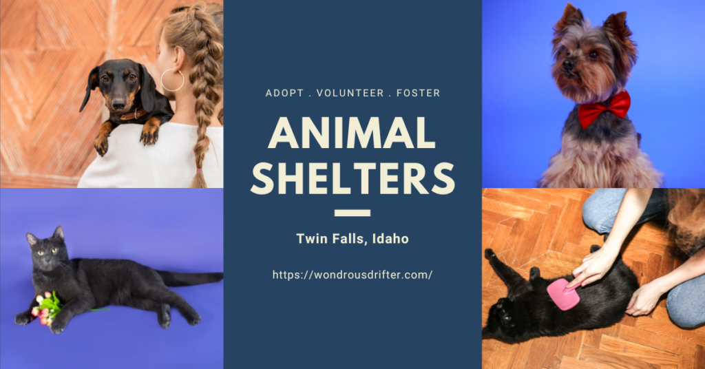 Animal Shelters in Twin Falls, Idaho